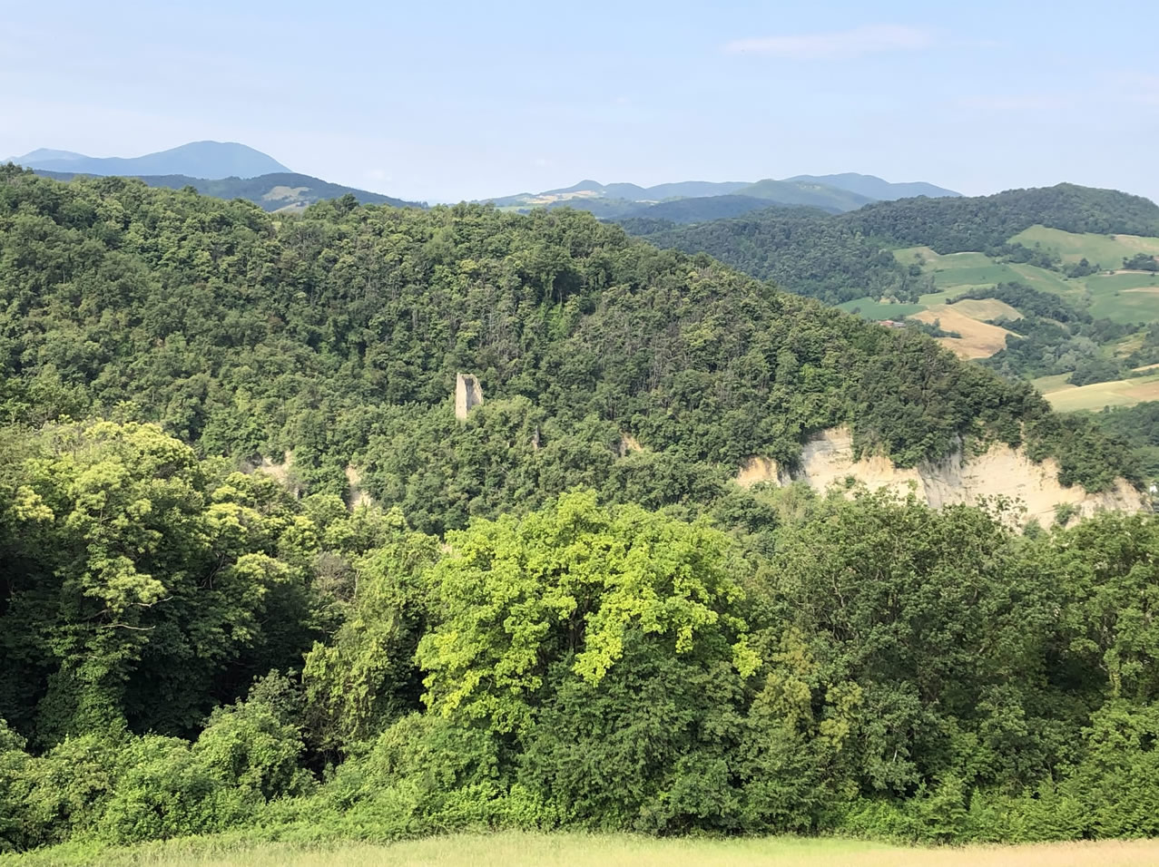 Bosco e natura della Collina del Sole